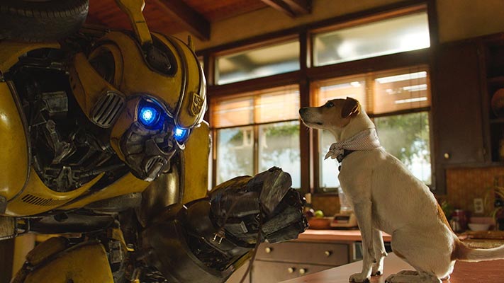 Bumblebee e um cachorrinho
